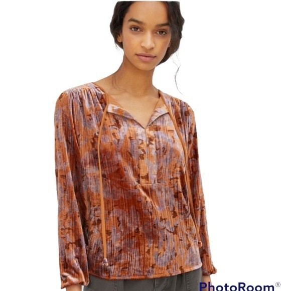 Anthropologie Faustine Velvet Peasant Blouse - Picture 6 of 7